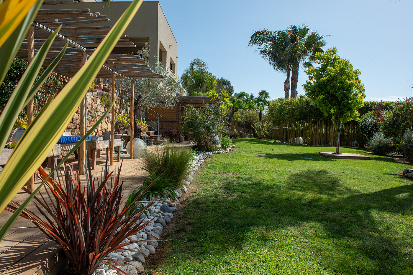 Mise en place de la pelouse dans le jardin contemporain à Sanary-sur-Mer